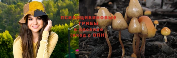spice Бородино