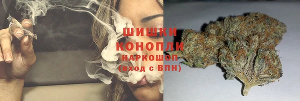 spice Бородино