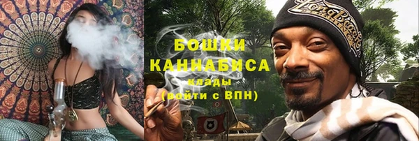 spice Бородино