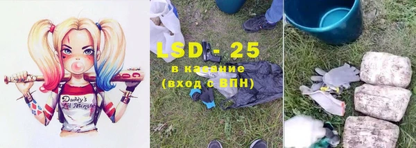 spice Бородино