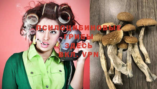 spice Бородино