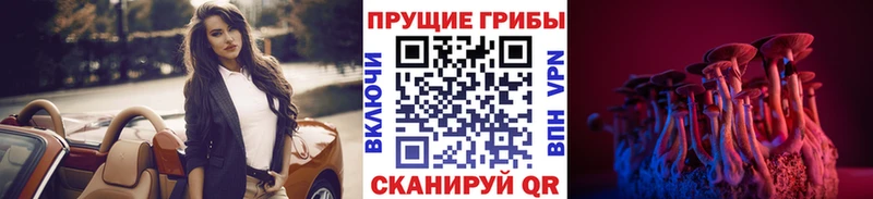 Галлюциногенные грибы Magic Shrooms  Купить  Цивильск 