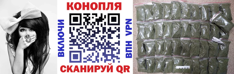Купить где Цивильск Бошки марихуана сатива